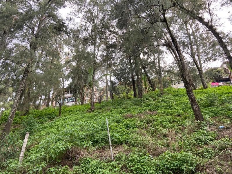  Terreno habitacional en venta en La Peña, Valle de Bravo, México