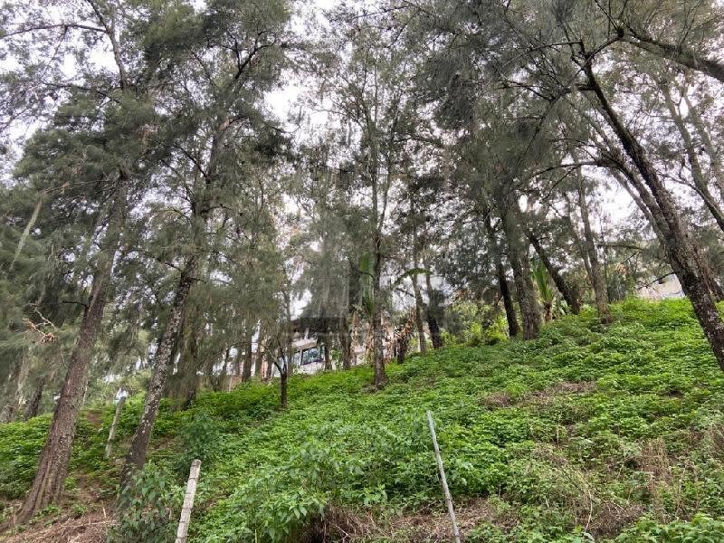 Imagen 6 de Terreno habitacional en venta en La Peña, Valle de Bravo, México