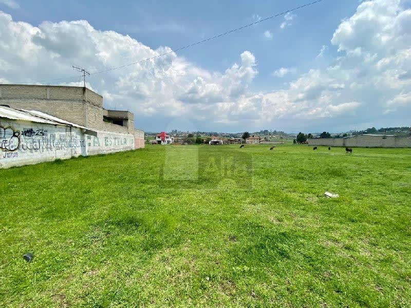 Imagen 3 de Terreno habitacional en venta en Ecológico SUTEYM, Almoloya de Juárez, México