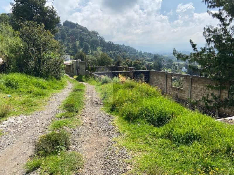 Imagen 4 de Terreno habitacional en venta en San Miguel (Pósito del Olivo), Ocoyoacac, México