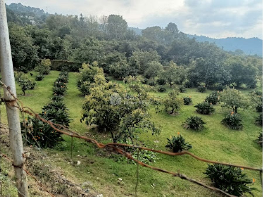 Imagen 4 de HERMOSO TERRENO EN AMANALCO DE BECERRA