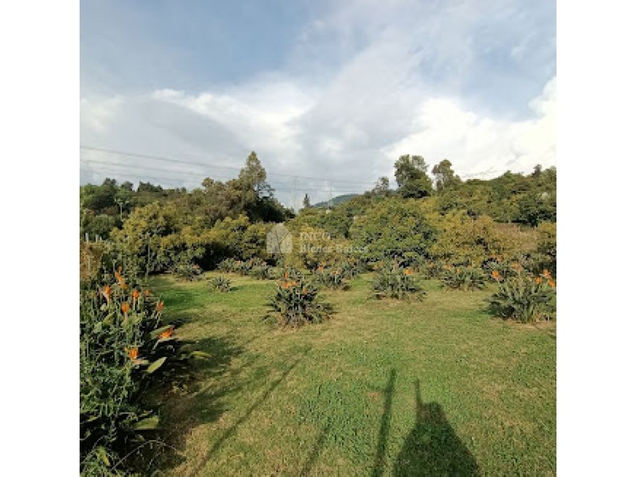 Imagen 6 de HERMOSO TERRENO EN AMANALCO DE BECERRA