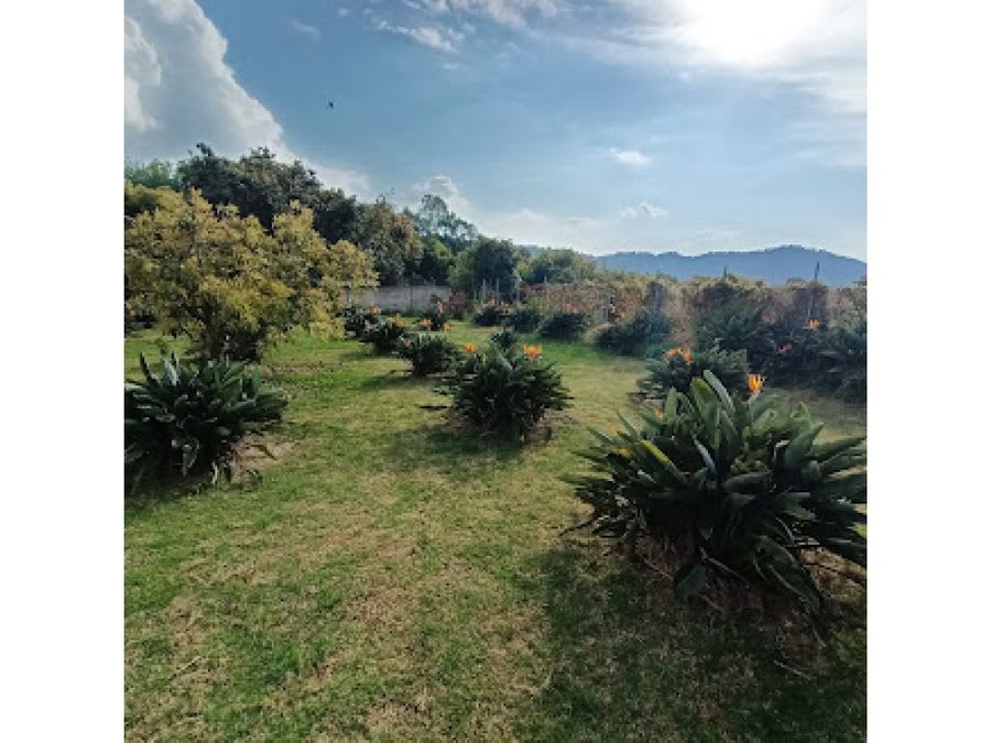Imagen 10 de HERMOSO TERRENO EN AMANALCO DE BECERRA