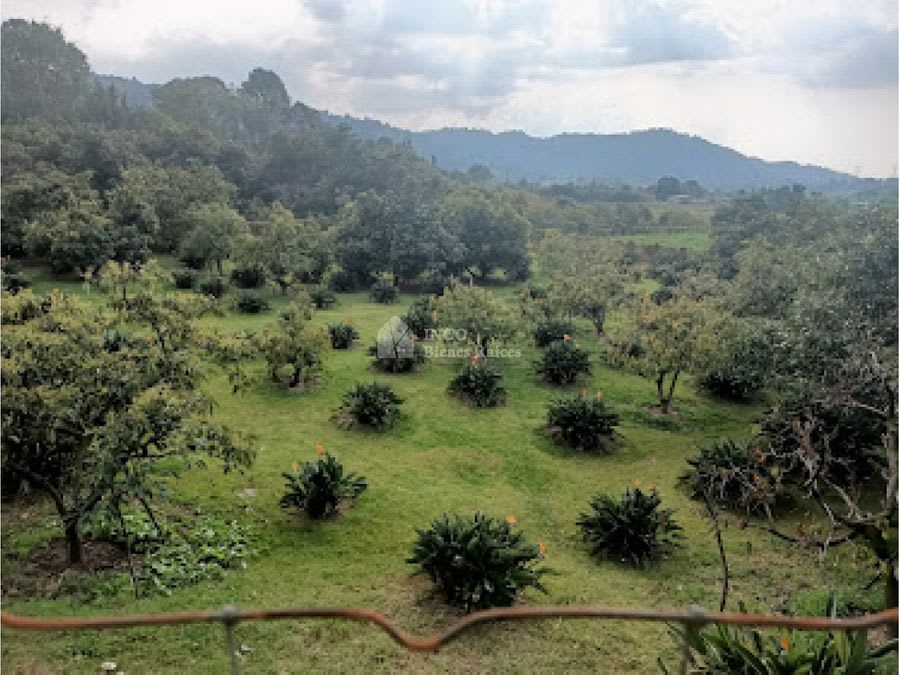 Imagen 8 de HERMOSO TERRENO EN AMANALCO DE BECERRA