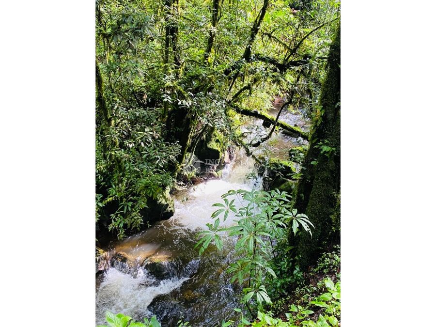 Imagen 2 de TERRENO EN VENTA EN VALLE DE BRAVO