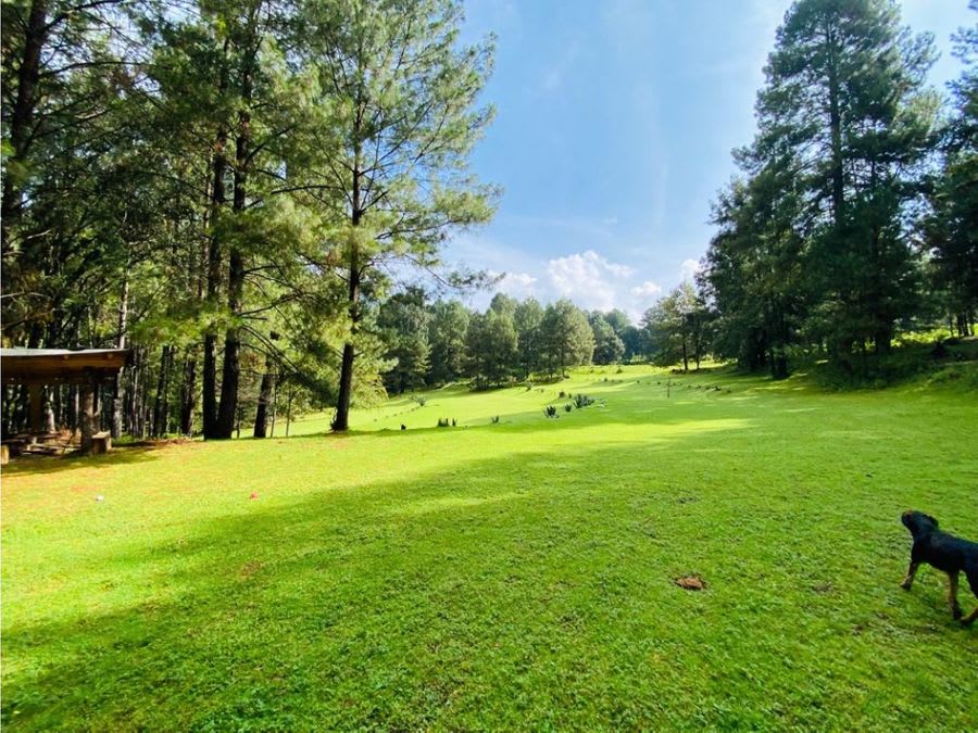 Imagen 12 de TERRENO EN VENTA EN VALLE DE BRAVO