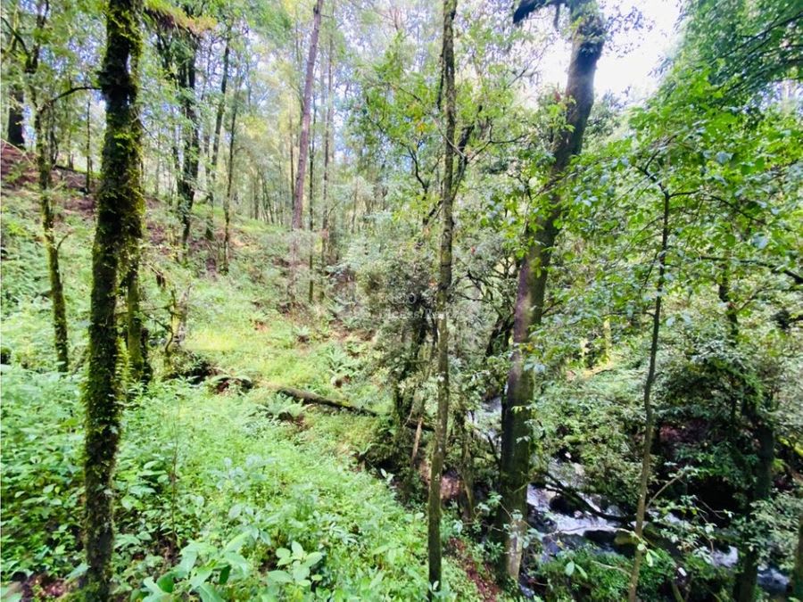 Imagen 19 de TERRENO EN VENTA EN VALLE DE BRAVO