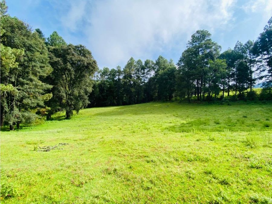 Imagen 14 de TERRENO EN VENTA EN VALLE DE BRAVO