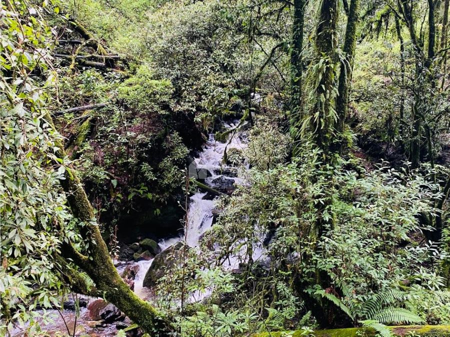 Imagen 23 de TERRENO EN VENTA EN VALLE DE BRAVO