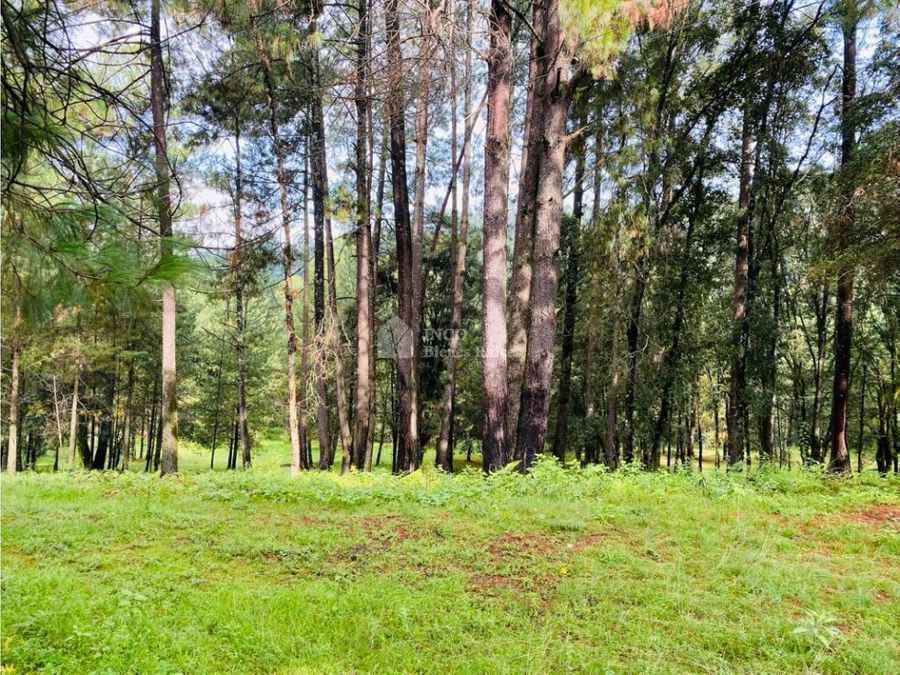 Imagen 21 de TERRENO EN VENTA EN VALLE DE BRAVO