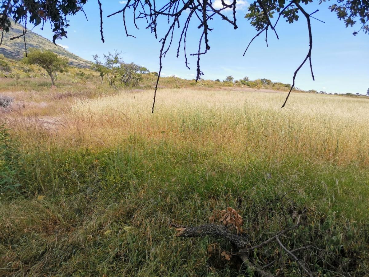 Imagen 9 de TERRENO - COMERCIAL EN VENTA