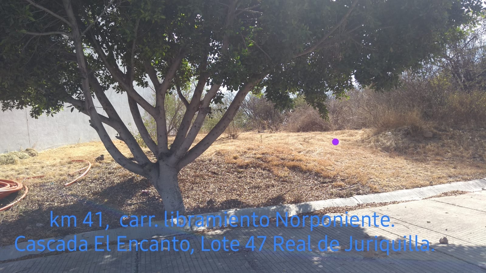 Imagen 4 de TERRENO EN VENTA FRACCIONAMIENTO TABACHINES JURIQUILLA