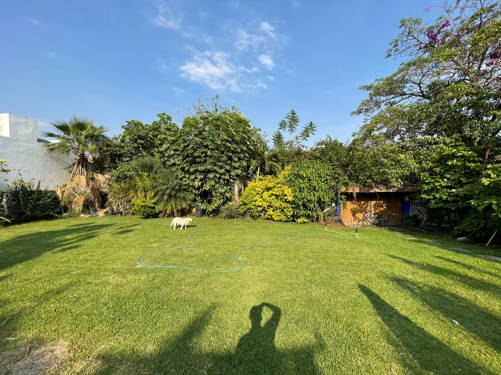 Imagen 7 de Terreno en fracc. Sumiya EN VENTA  Cuernavaca, Morelos.