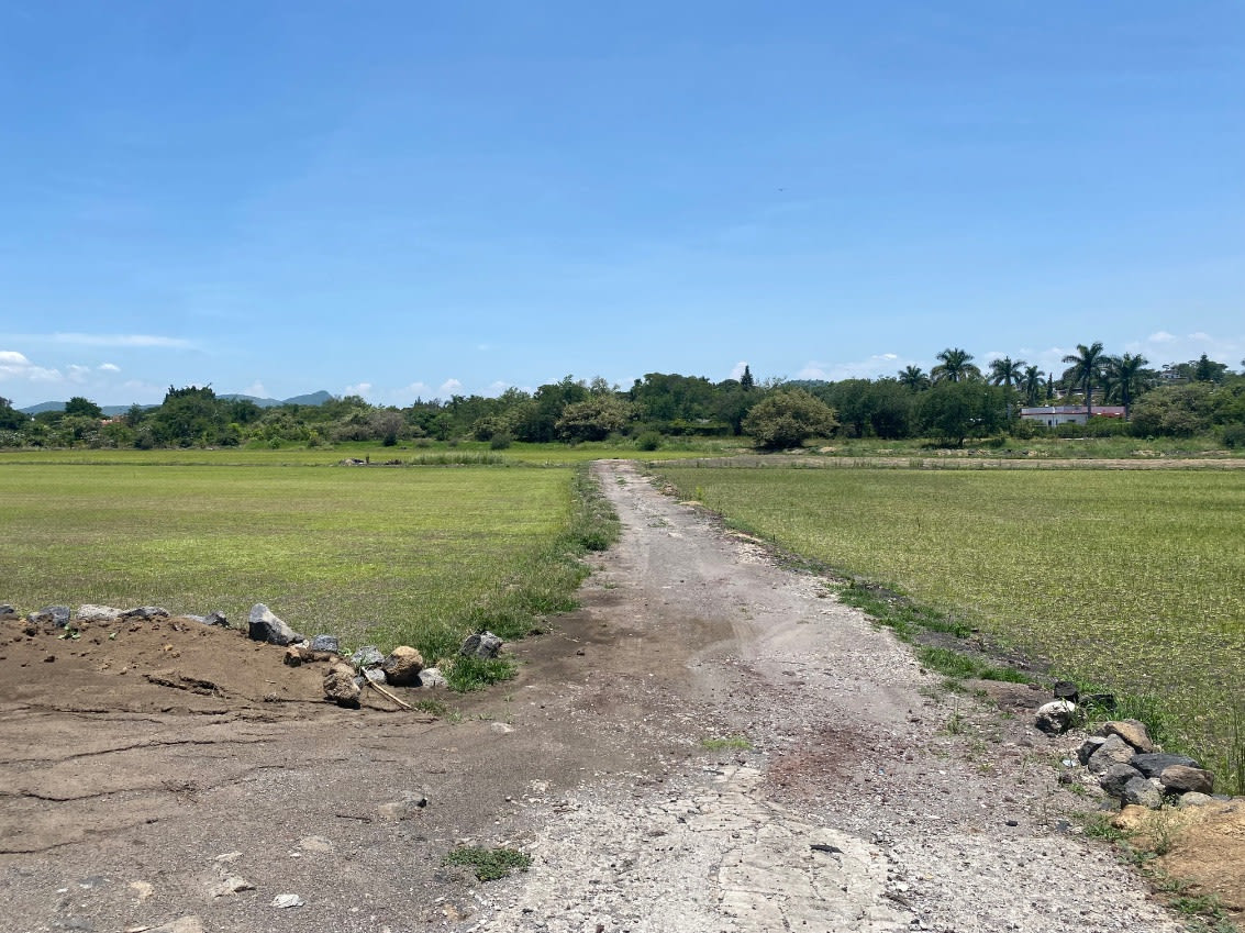 Imagen 4 de Terreno comercial Tezoyuca