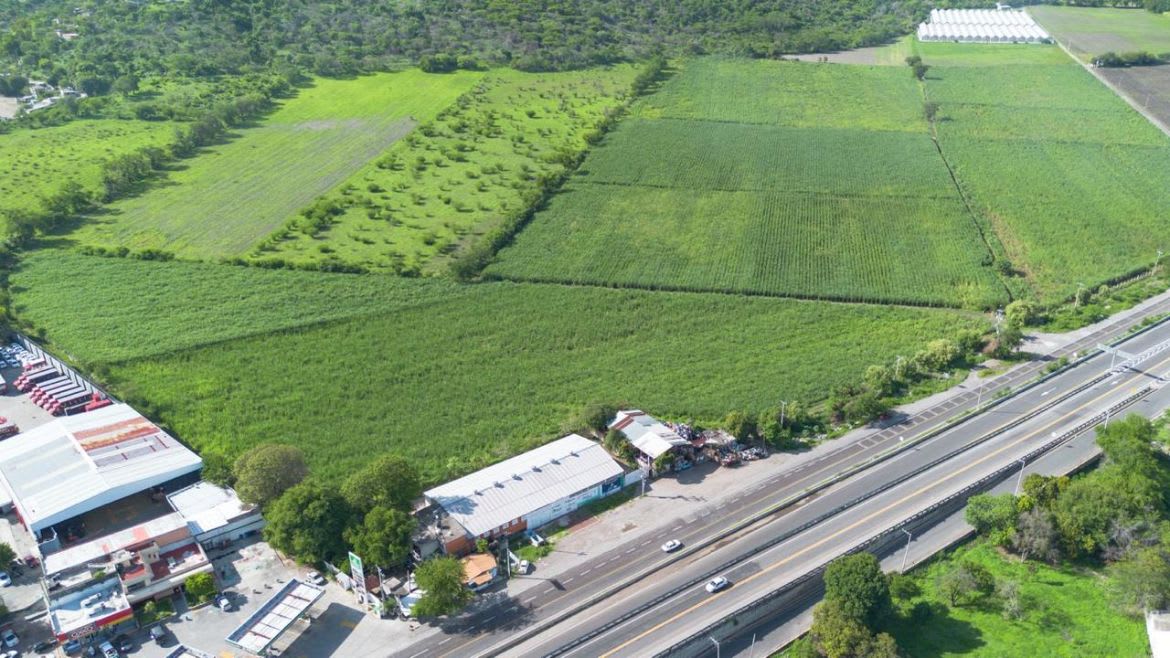 Imagen 3 de Terreno Urbano en Puente de Ixtla. Campo el Llano, Puente de Ixtla, Morelos