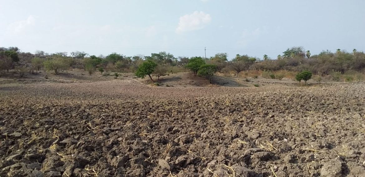 Imagen 3 de Terreno Urbano en Tequesquitengo, Jojutla, Morelos