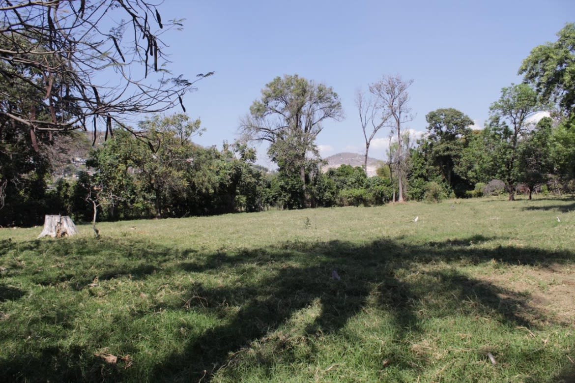 Imagen 8 de Terreno para Desarrollo Residencial