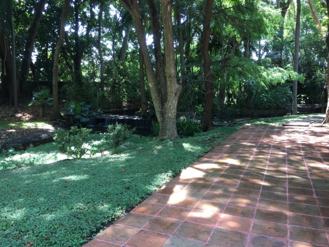 Imagen 5 de Superficie de 8634.m2 con 115 Mts de frente y 1800 M2 de construcción