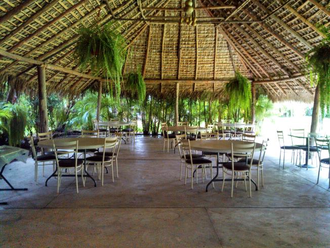 Imagen 10 de Rancho arbolado totalmente plano