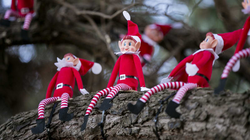 Christmas elf dolls in red outfits with striped legs sitting on a tree branch outdoors