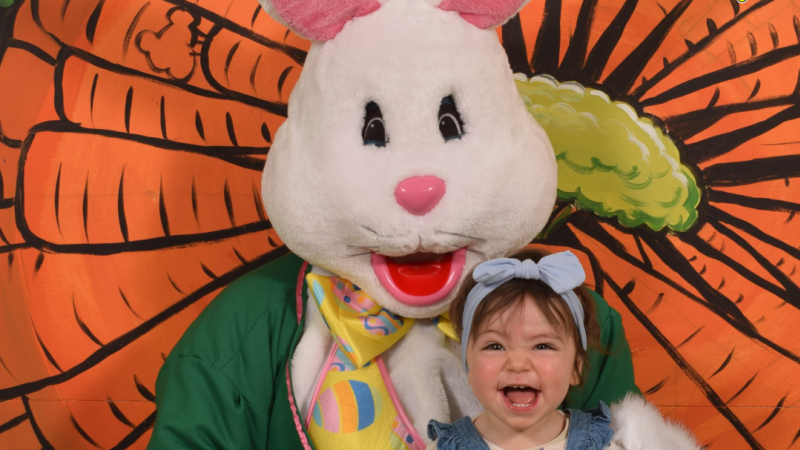 Smiling toddler with blue bow headband posing with Easter Bunny character against carrot backdrop