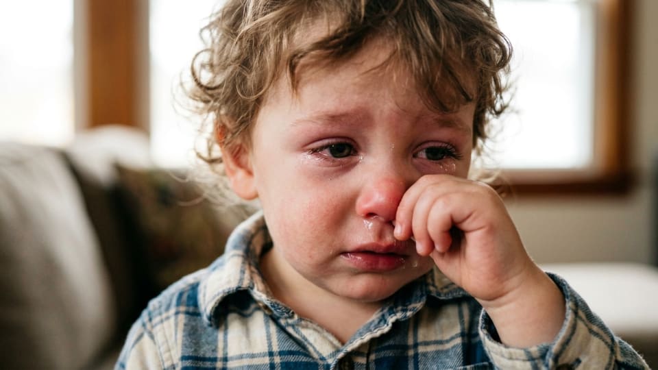 Close-up of a toddler's face showing typical hay fever symptoms - slightly red, watery eyes and runny nose, child rubbing their nose with their hand
