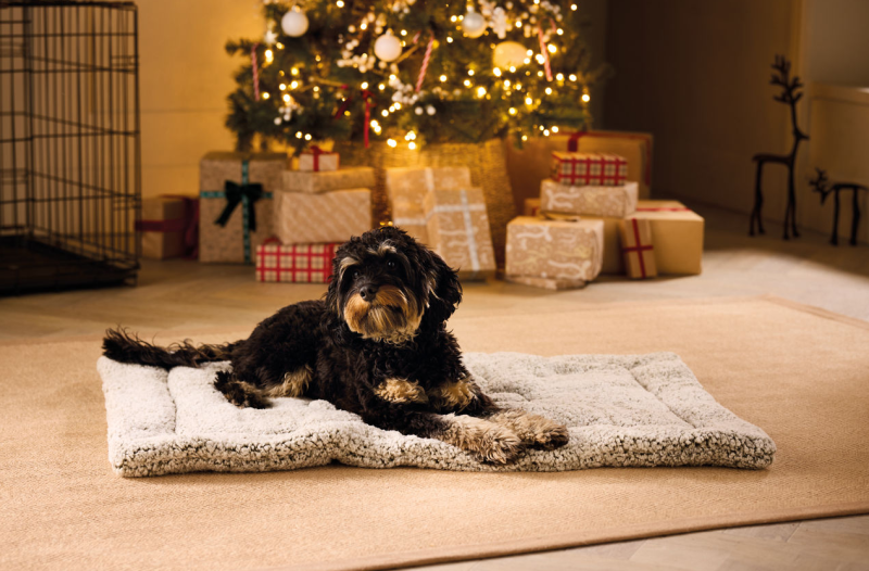 Black and tan dog lying on cosy pet mat in front of Christmas tree with wrapped presents