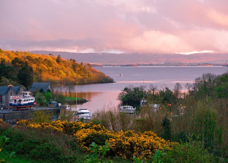 The Lodge at Ashford Castle view over lake with boats, gorse flowers, and pink sunset sky