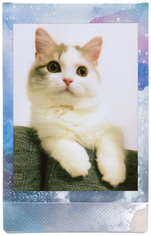 White kitten with tan markings and green eyes sitting on green knitted fabric with galaxy-themed decorative border