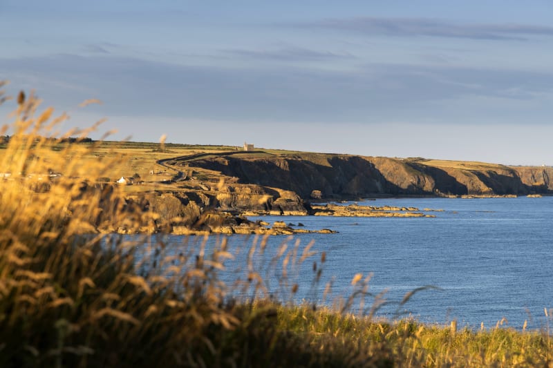 Rocky coastal cliffs at Bunmahon, Waterford, with golden grasses in foreground and calm blue sea.