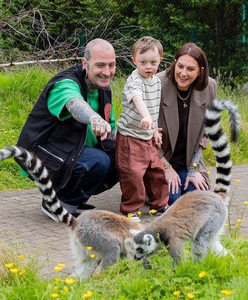 Family with a young child enjoying a close encounter with ring-tailed lemurs at a wildlife park.