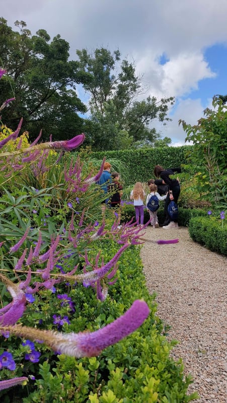Children and adult walking along a gravel garden path lined with purple flowers and box hedging at Killashee.