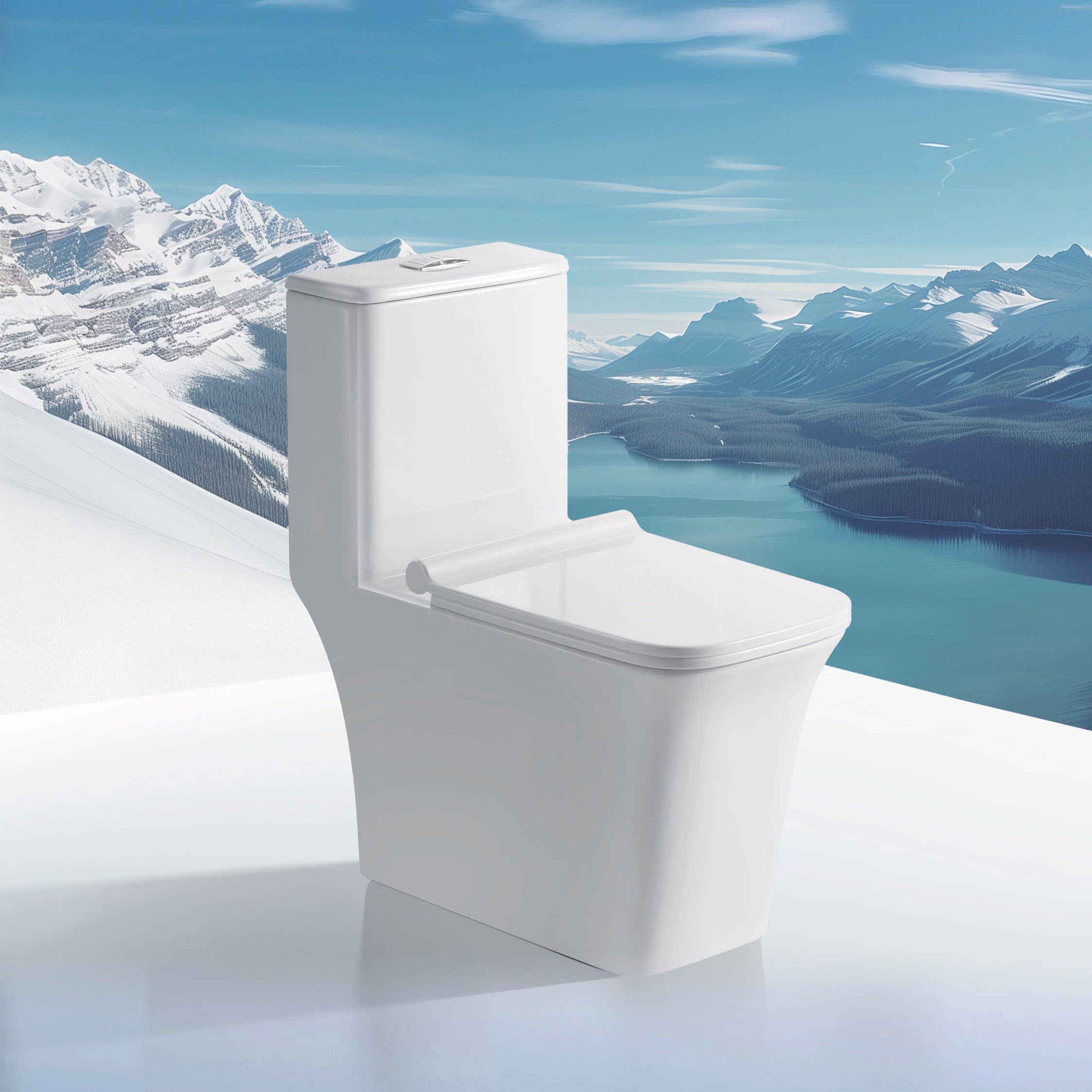 WC501 One-Piece Toilet