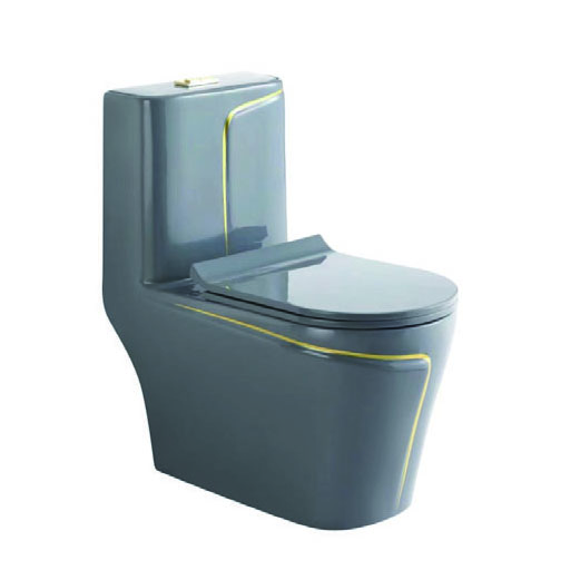 WC-790 One-Piece Toilet
