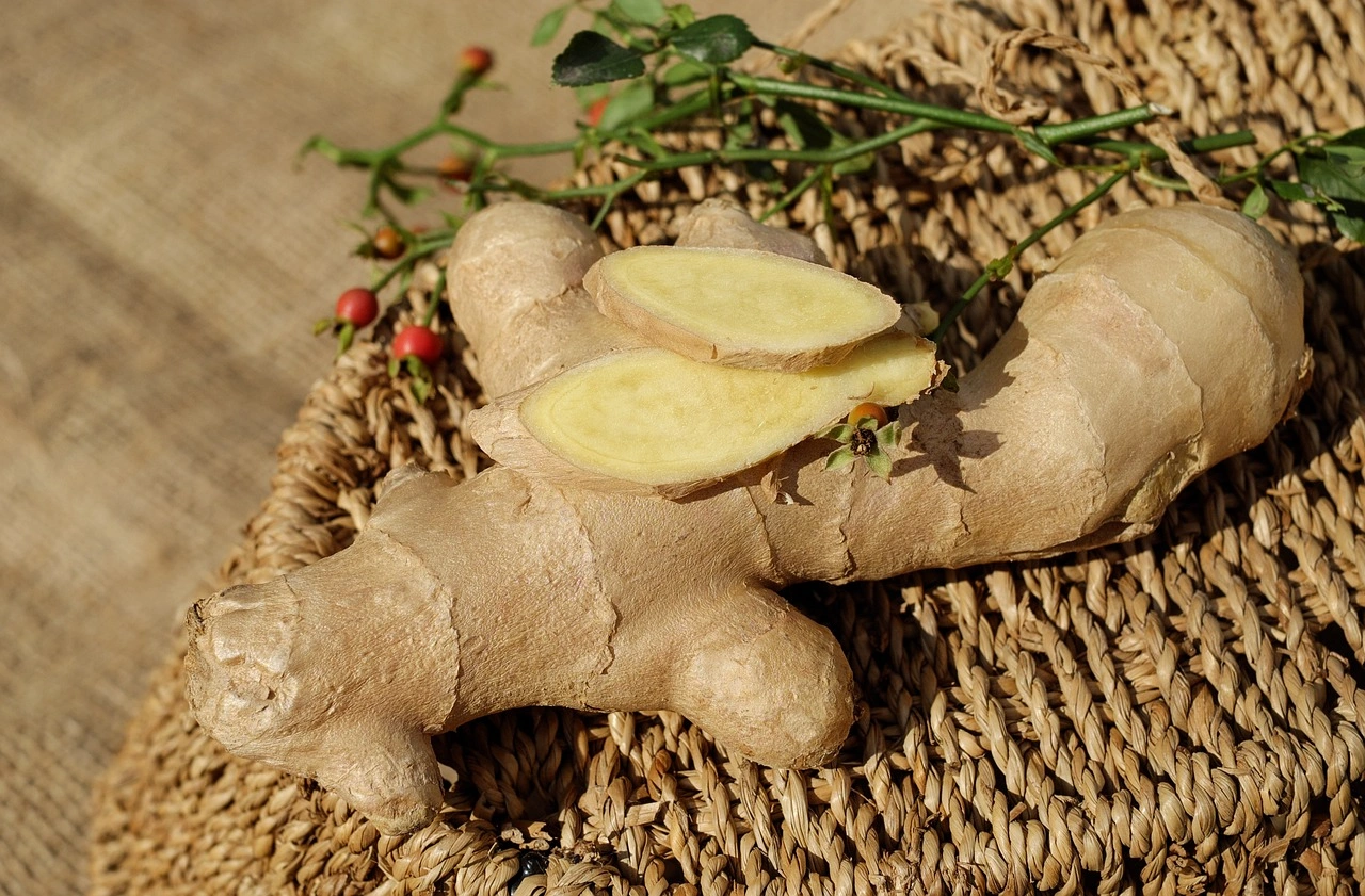 The Art of Japanese Cuisine: Dashi, Seasonings, and Seasonal Ingredients