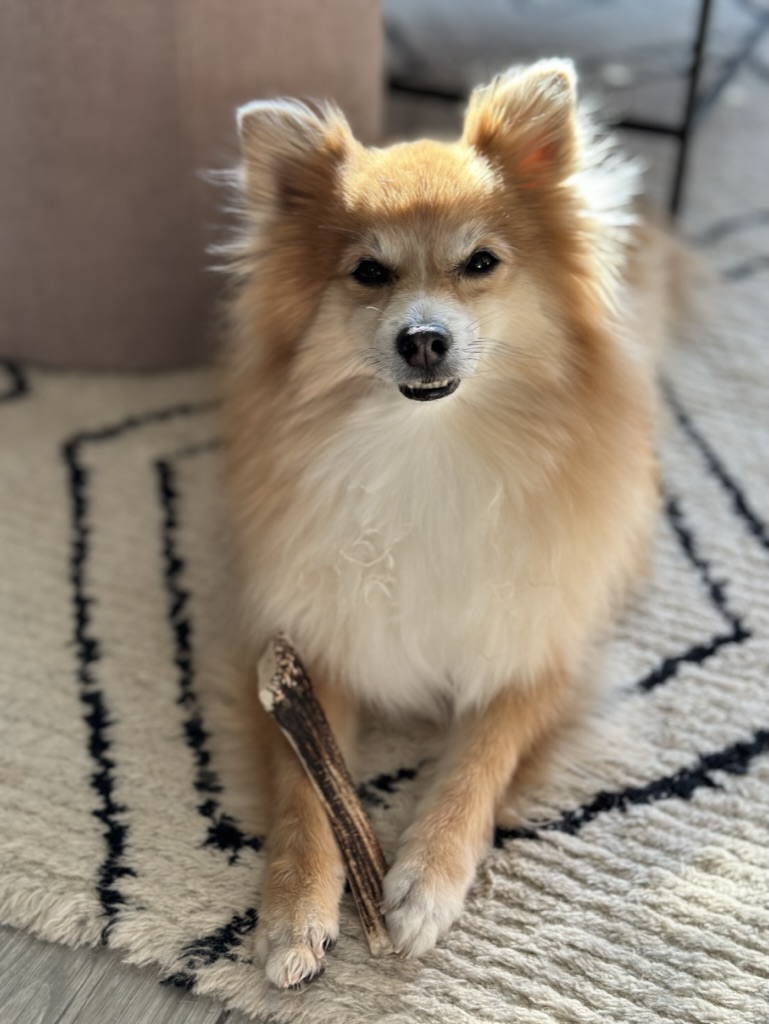Bowie