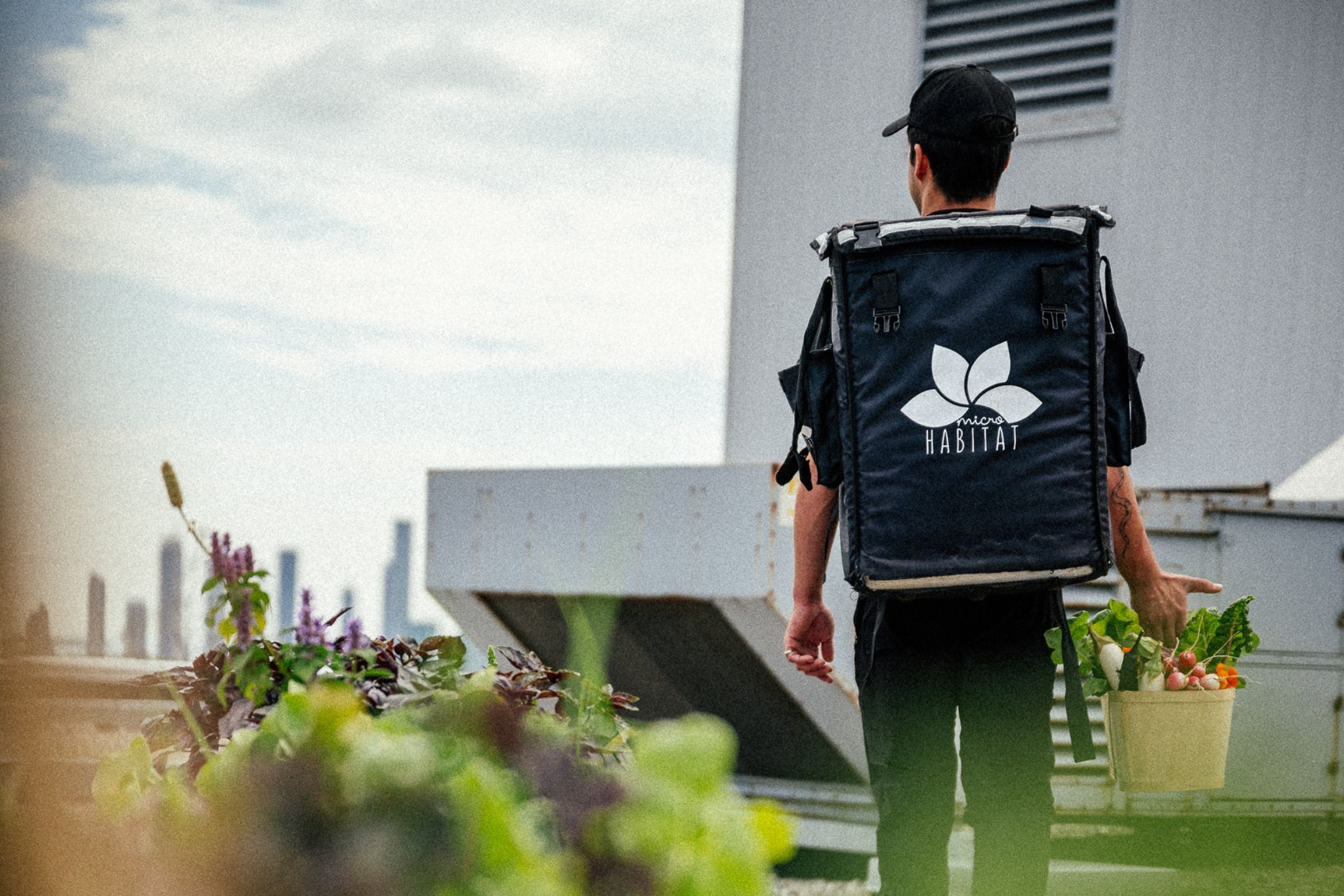 Creating a Sustainable Brand: How Urban Farming Can Set Your Company Apart