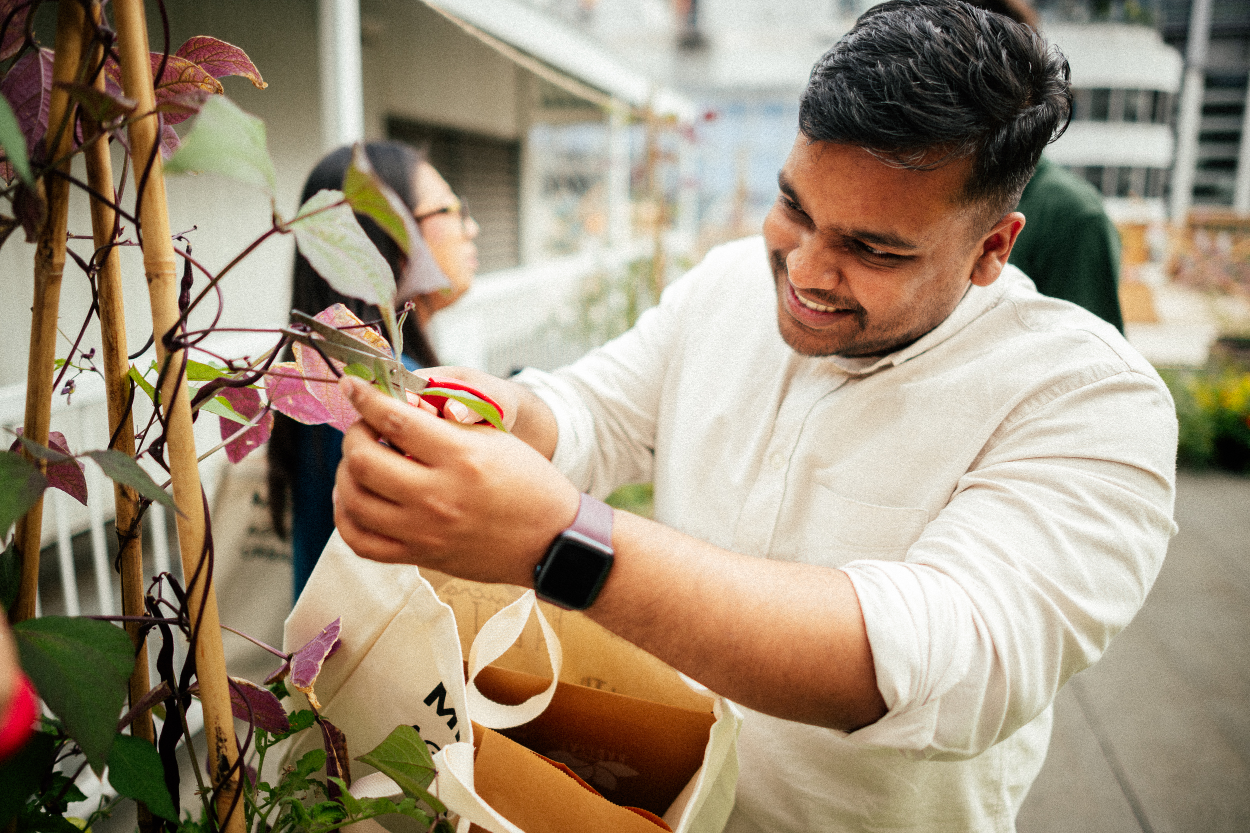 Why Local Food Production Matters More Than Ever in the Face of New Tariffs