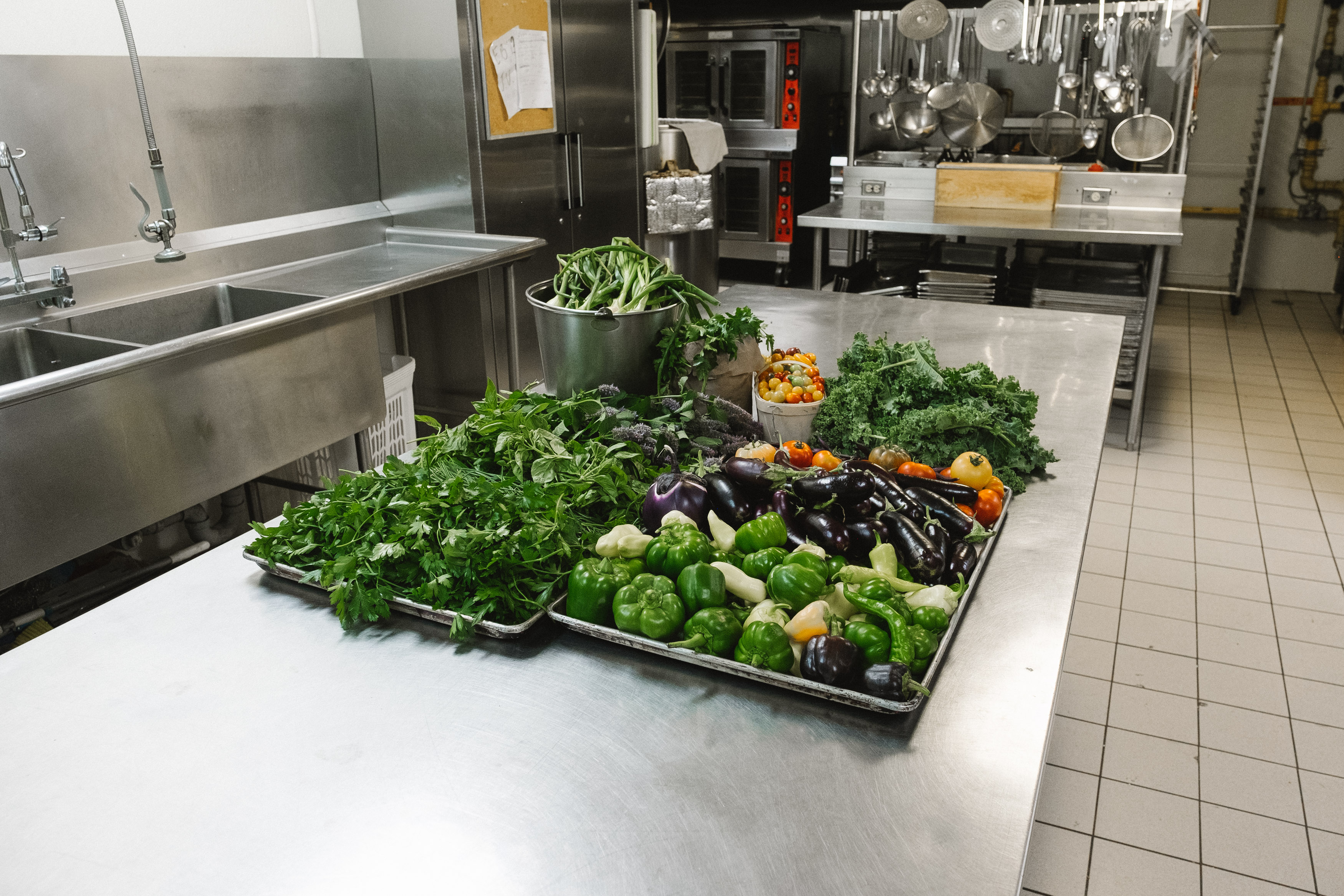 MicroHabitat x Accueil Bonneau: Greening Cities, Feeding People