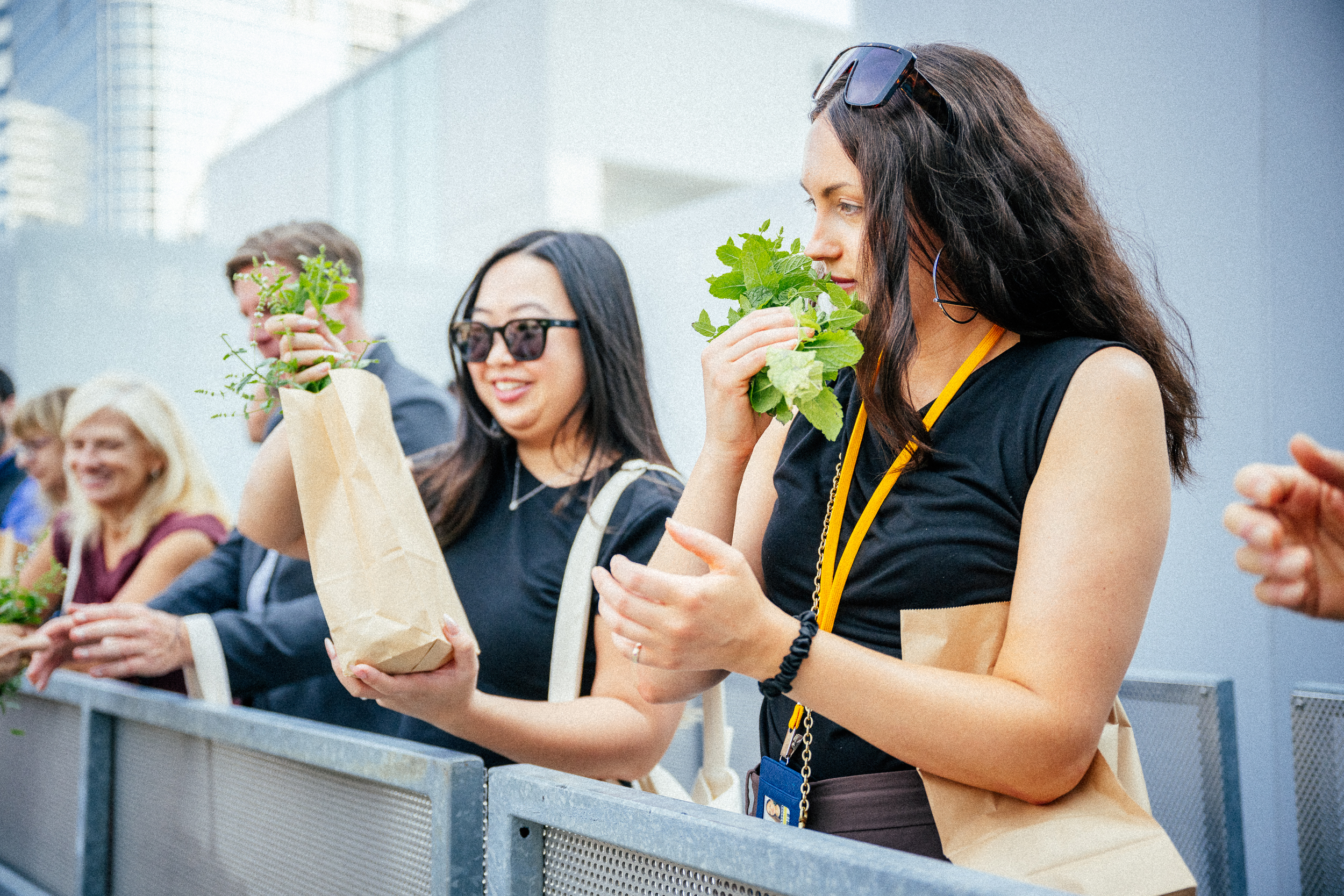 MicroHabitat Expands to Europe: A New Chapter in Urban Farming