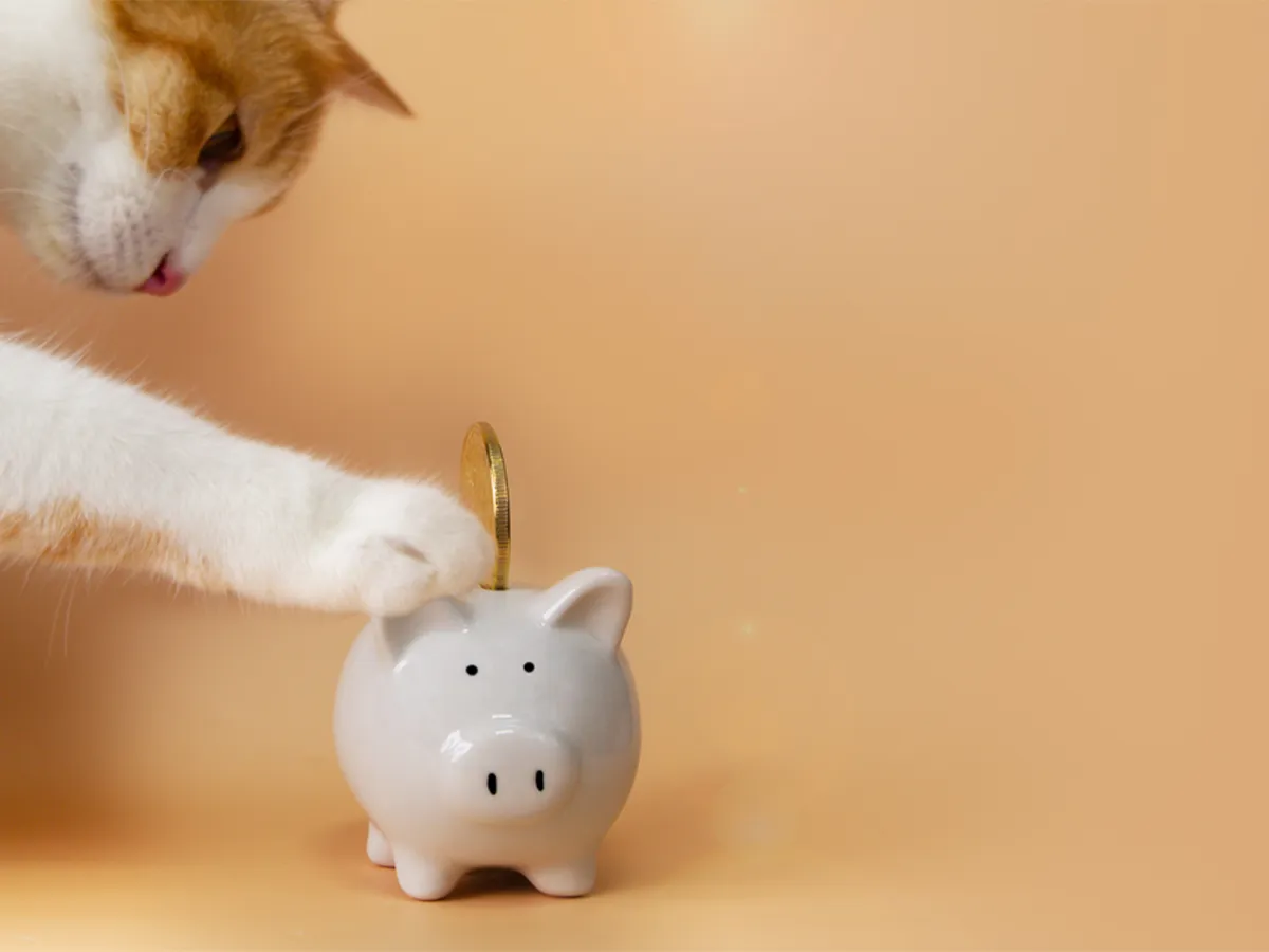 How to Save Money on Pet Healthcare Without Compromising Quality