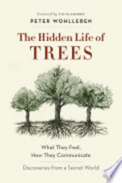 The Hidden Life of Trees