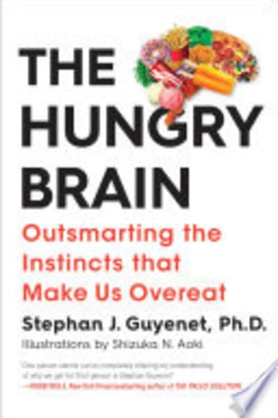 The Hungry Brain by Stephan Guyenet — book cover
