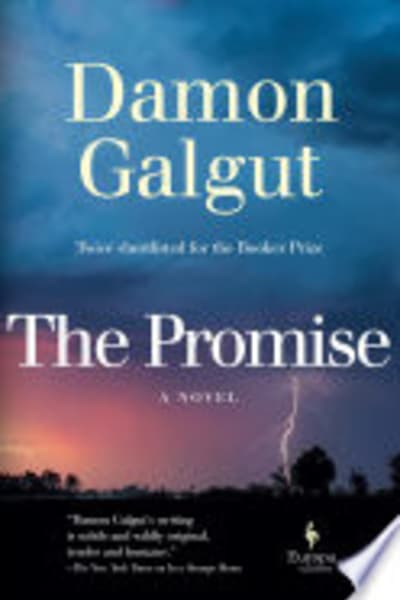 The Promise by Damon Galgut — book cover