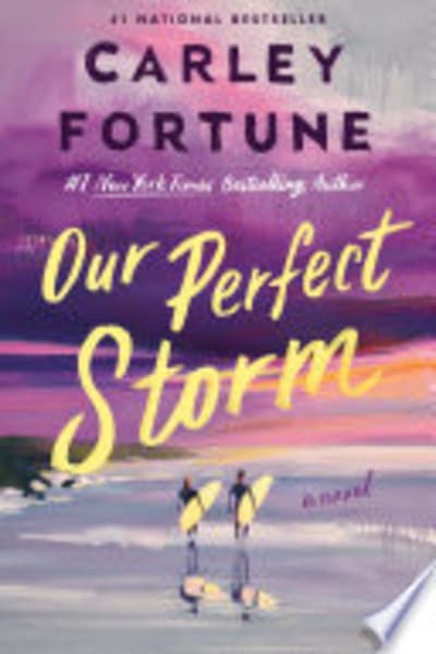Our Perfect Storm by Carley Fortune — book cover