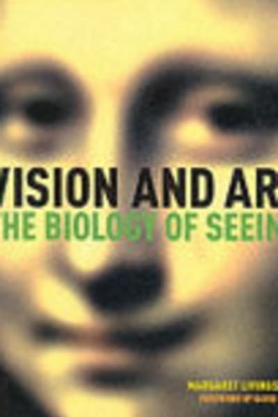 Vision and Art by Margaret Livingstone — book cover