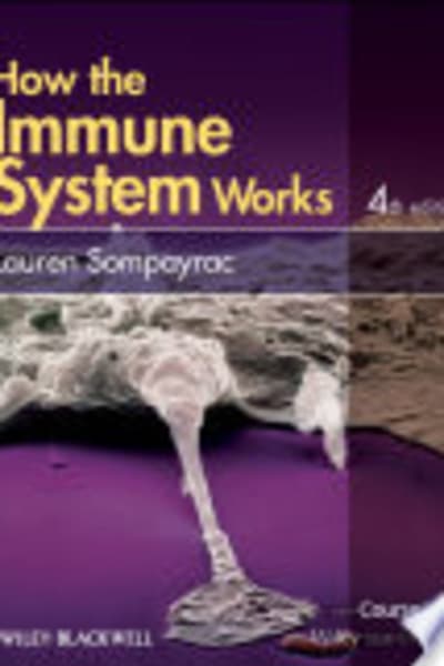 How the Immune System Works, Includes Desktop Edition by Lauren Sompayrac — book cover