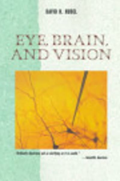 Brain and Visual Perception by David H. Hubel — book cover