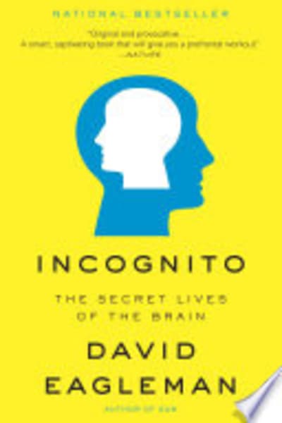 The Immortal Life of a Neuron by David Eagleman — book cover