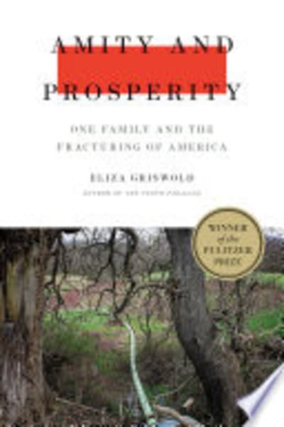 Amity and Prosperity by Eliza Griswold — book cover